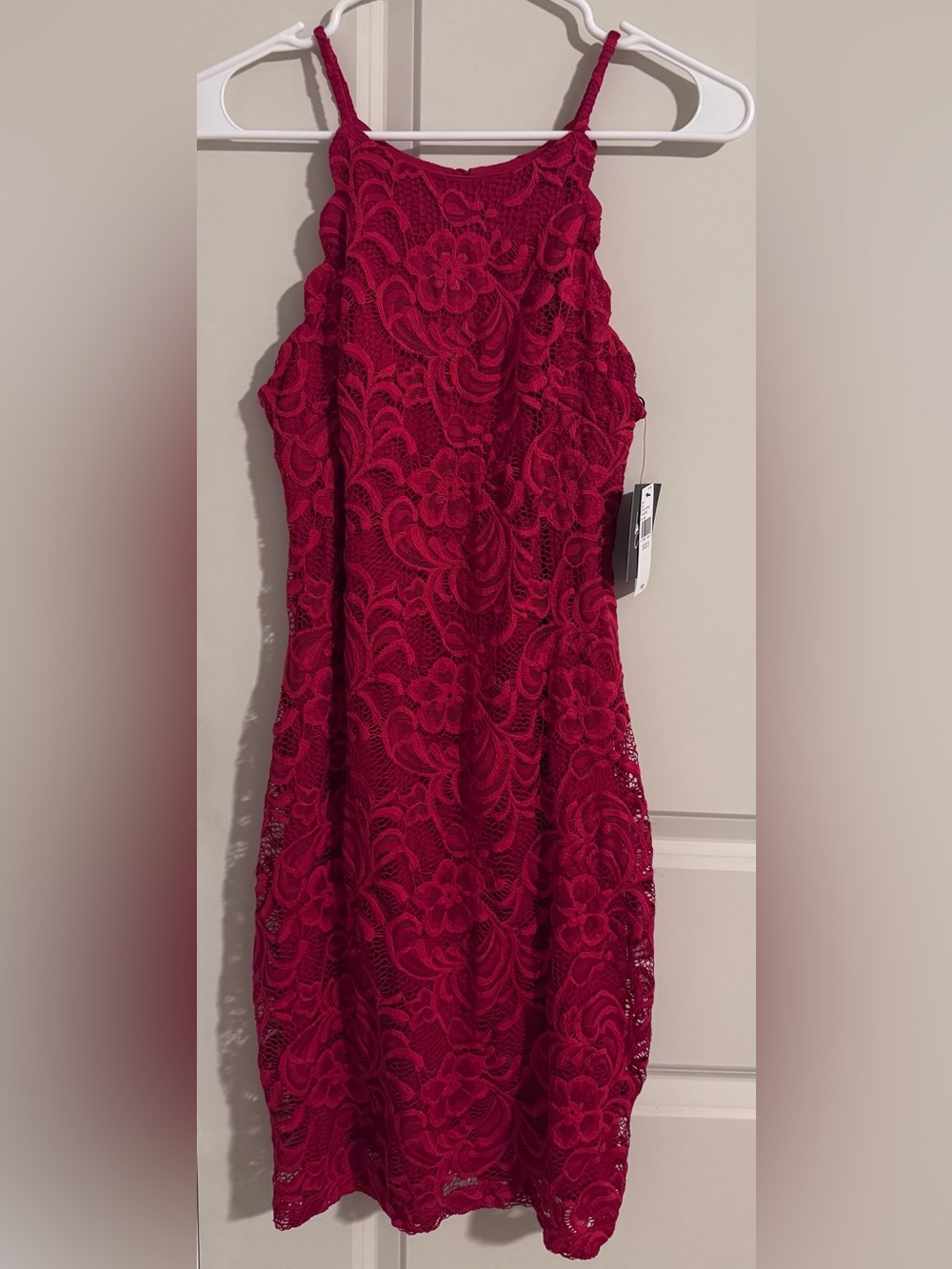 Red Lace Sleeveless Fit & Flare Dress